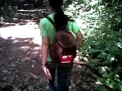 Carissima Vox Dei 2012: Meshel Belvis the Explorer (Part 1)