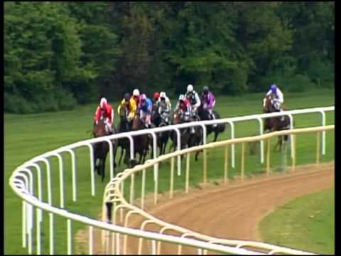 Hannover, Preis vom Bankhaus Sal. Oppenheim, 29.4.2012 - Siegerin: Spicy