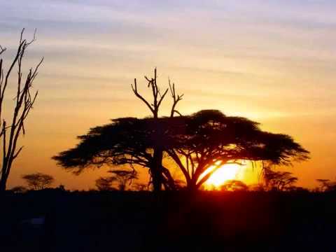 Ayub Ogada   Kothbiro HQ