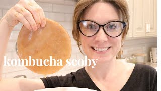 HOW TO MAKE A SCOBY FROM SCRATCH | how to grow a KOMBUCHA SCOBY | grow your own scoby at home