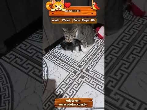 Vídeo de AFRODITE