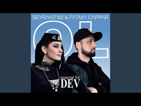 OL (special for DEV)