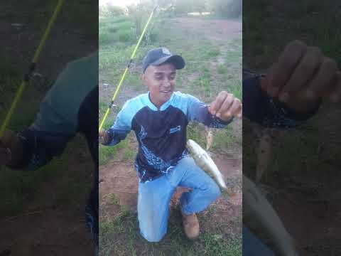 pescador mais fraco de parauna goias kkk