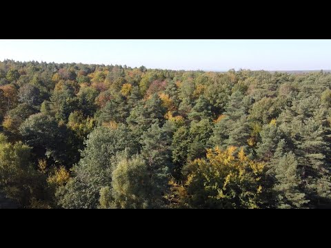 działka budowlana, w środku lasu !!!