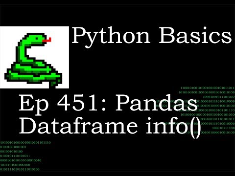 Python Basics Pandas Dataframe Info Method