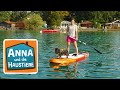 Cavalier King Charles Spaniel Information Für Kinder Anna Und Die Haustiere