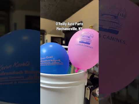 Cars and Canines Raffle Baskets