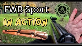 Download lagu HFT shots with a 1980's Feinwerkbau FWB Sport 124 .177 air rifle classic vintage  collectible airgun mp3