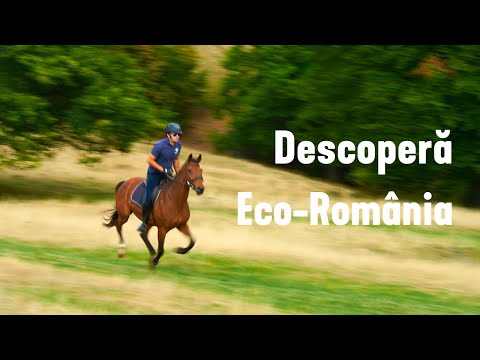 Discover Eco-Romania