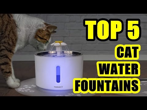 ✅ Top 5: Best Water Fountain For Large Dog 2022 [Tested & Reviewed]