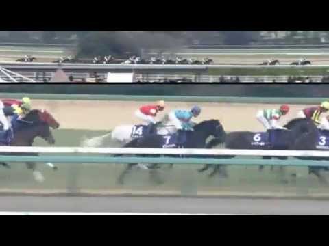 2014.12.28 Arima Kinen (The Grand Prix) - Gentildonna