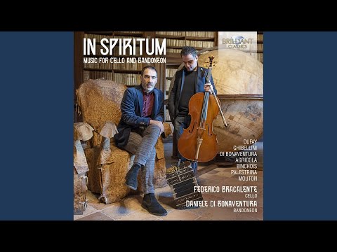 Je languis en piteux martire