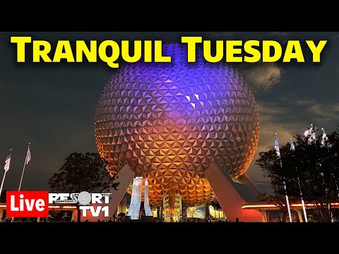 🔴Live: Tranquil Tuesday at Epcot - A Relaxing Evening  - Walt Disney World Live Stream - 9-24-24
