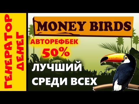 money-birds Проект шикарно стартовал и становится отличным решением для вложений