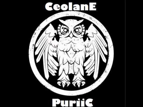 Puriic - Es to negribēju stāstīt (CEOLANE REMIX)