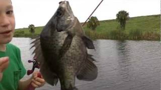 preview picture of video 'Lake Okeechobee Panfishing 9-21-11'