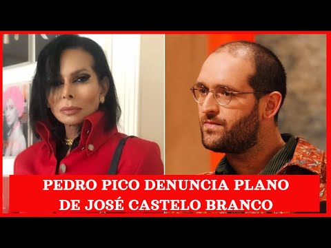 Pressionado, Pedro Pico denuncia plano de José Castelo Branco para enganar Betty Grafstein