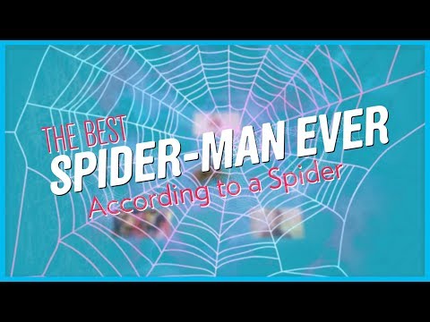 The Best Spider-Man Ever, According to an Actual Spider