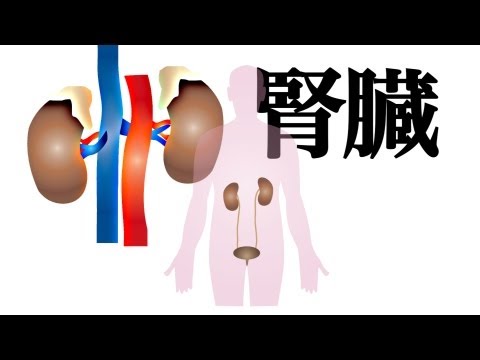 ポドステマ科について詳しく解説