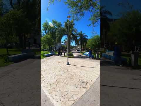 Plaza 25 de Mayo en Resistencia Chaco 🌳 Caminando hacia la Avenida 9 de Julio