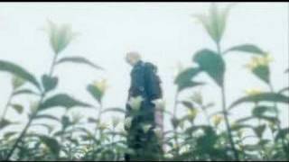 black roses red - alana grace - FF7 AC