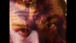 Frank Zappa &amp; Captain Beefheart - Tiger Roach