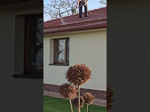 Biocide application + comparison how it looks like just 24 hours ago.