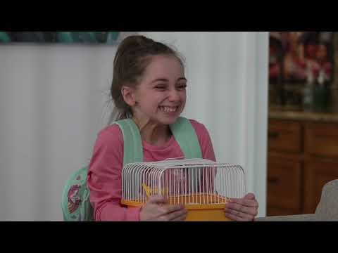 Lorray Digital Video video.