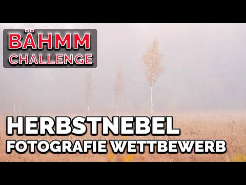 📸 Bam! Challenge: Autumn Fog Photography