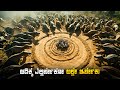 Dinosaurs Reborn 2 Movie Explained In Kannada Jungle Adventure Plot Review