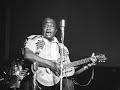 Bukka White - Coming In On The Train