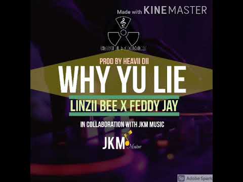 Why Yu Lie(2021) • Linzii Bee x Feddy Jay [Prod by Heavii Dii]