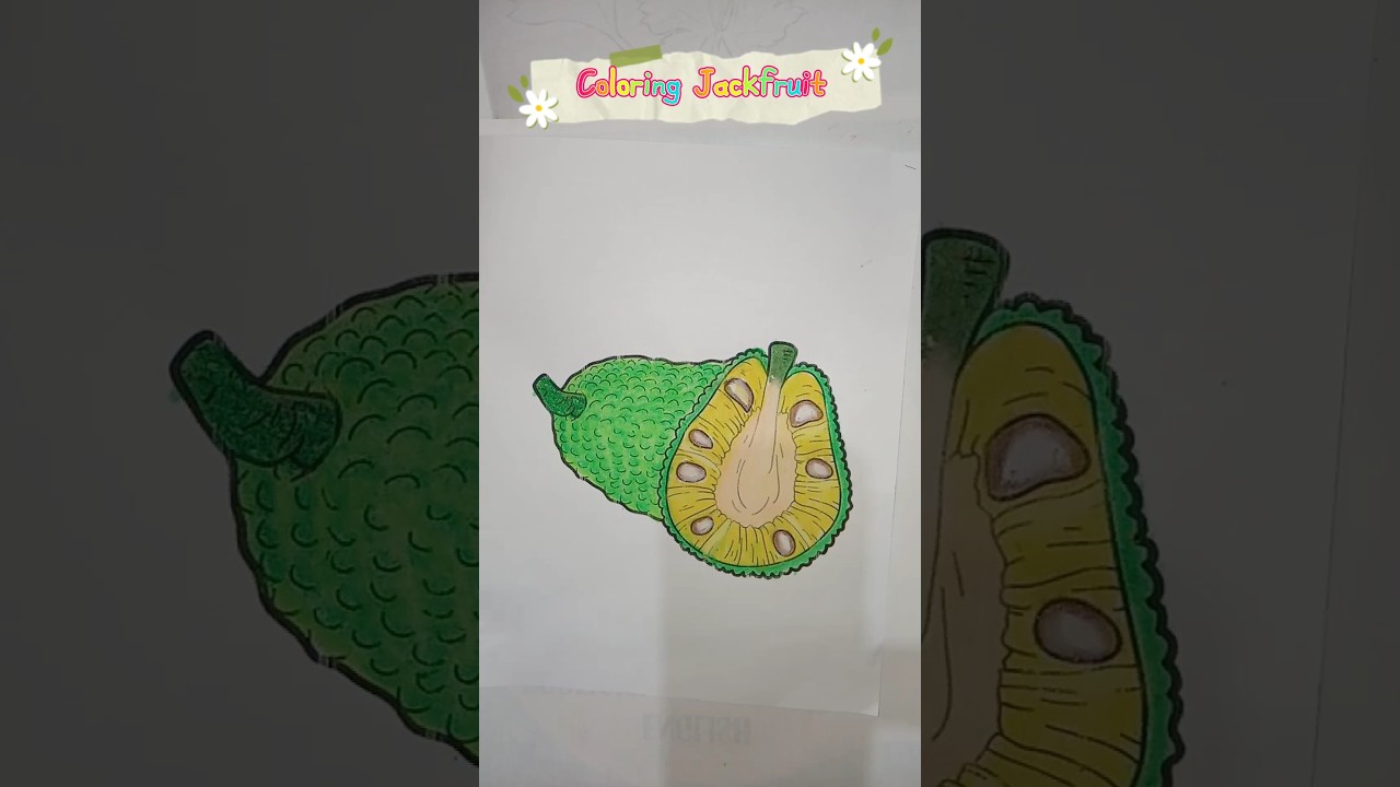 Let's learn how to color jackfruit #shorts #coloring
