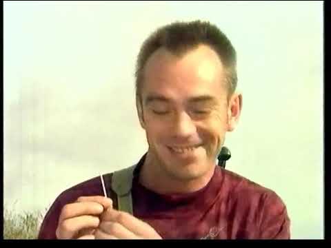 Hububb - Wild McBubbs