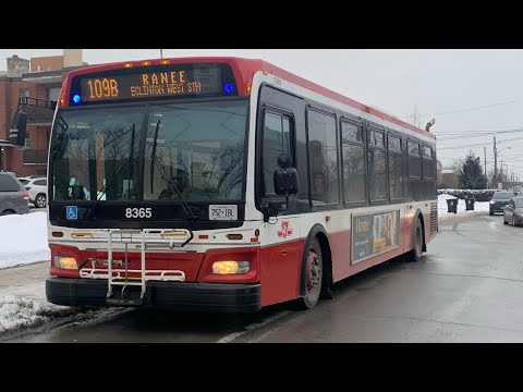 TTC Full Southbound Ride Video on 8365 on route 109B Ranee to Eglinton West Subway Station