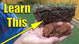 How to Improve Lawn Soil Humichar Biochar