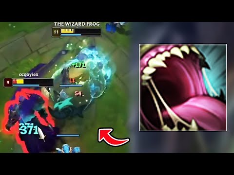 Longest Tahm Kench Kidnap
