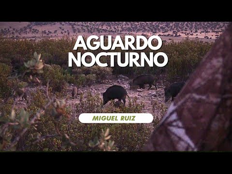 AGUARDO NOCTURNO 2023 | JUNTO A MIGUEL RUIZ 1