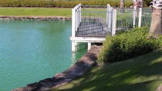 TOMMY JAMES- "ORDINARY GIRL"