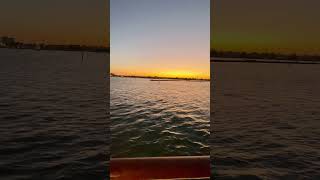 Beautiful Melbourne Sunset from Yarra River Cruise 🌅 | Melbourne Skyline | Australia Vlog