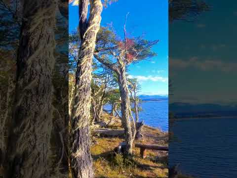 Laguna Negra #tolhuin #tierradelfuego #Argentina