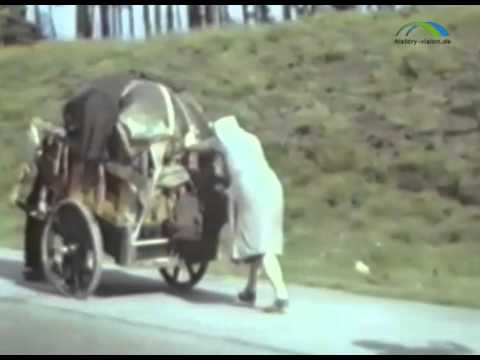 Flight, expulsion and resettlement in Europe (school film preview)