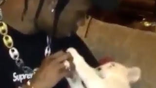 Travis Scott Feeding a Baby Animal in Dubai