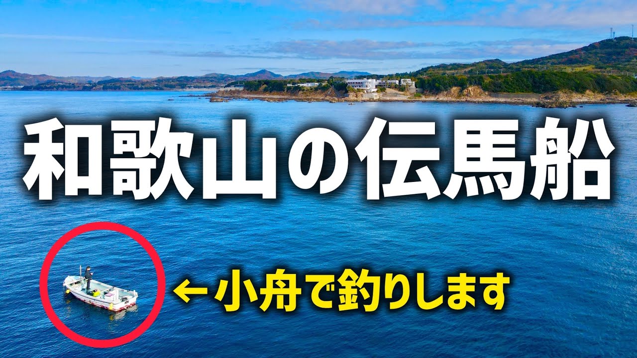 和歌山で人気の伝馬船（カセ釣り）に初挑戦！絶対に持っていくべき餌と仕掛けを紹介します！