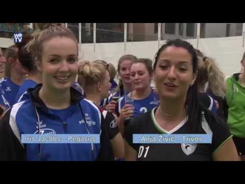 WK1714 Trivos D 1- Pegasus D1