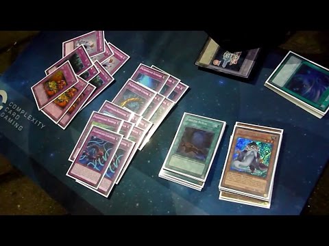 1st Place YCS Prague 2017 - 60 card Paleozoic - Joshua Schmidt