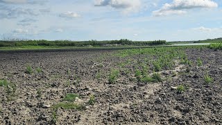 Choke Canyon Caliham Unit STILL DRY??? WHY??5/6/26