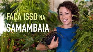 Miniatura do vídeo