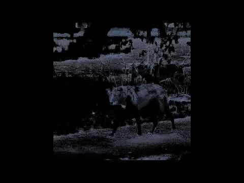 Indefinite Pitch premieres. Laima Adelaide - Morgen Nebel (Nils Edte Remix) [Predawn Records]