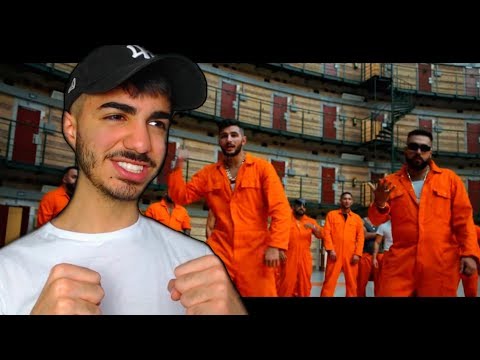 SCHEI*E GEHT DAS AB 🔥 DARDAN X PATRON - WO??? - Reaction